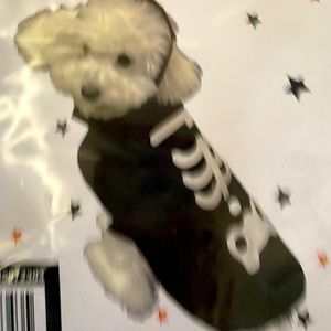 Skeleton 🎃pets costume 🎃💀